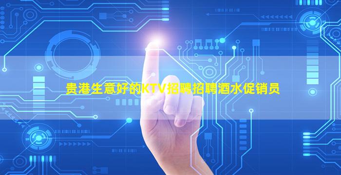 贵港生意好的KTV招聘招聘酒水促销员